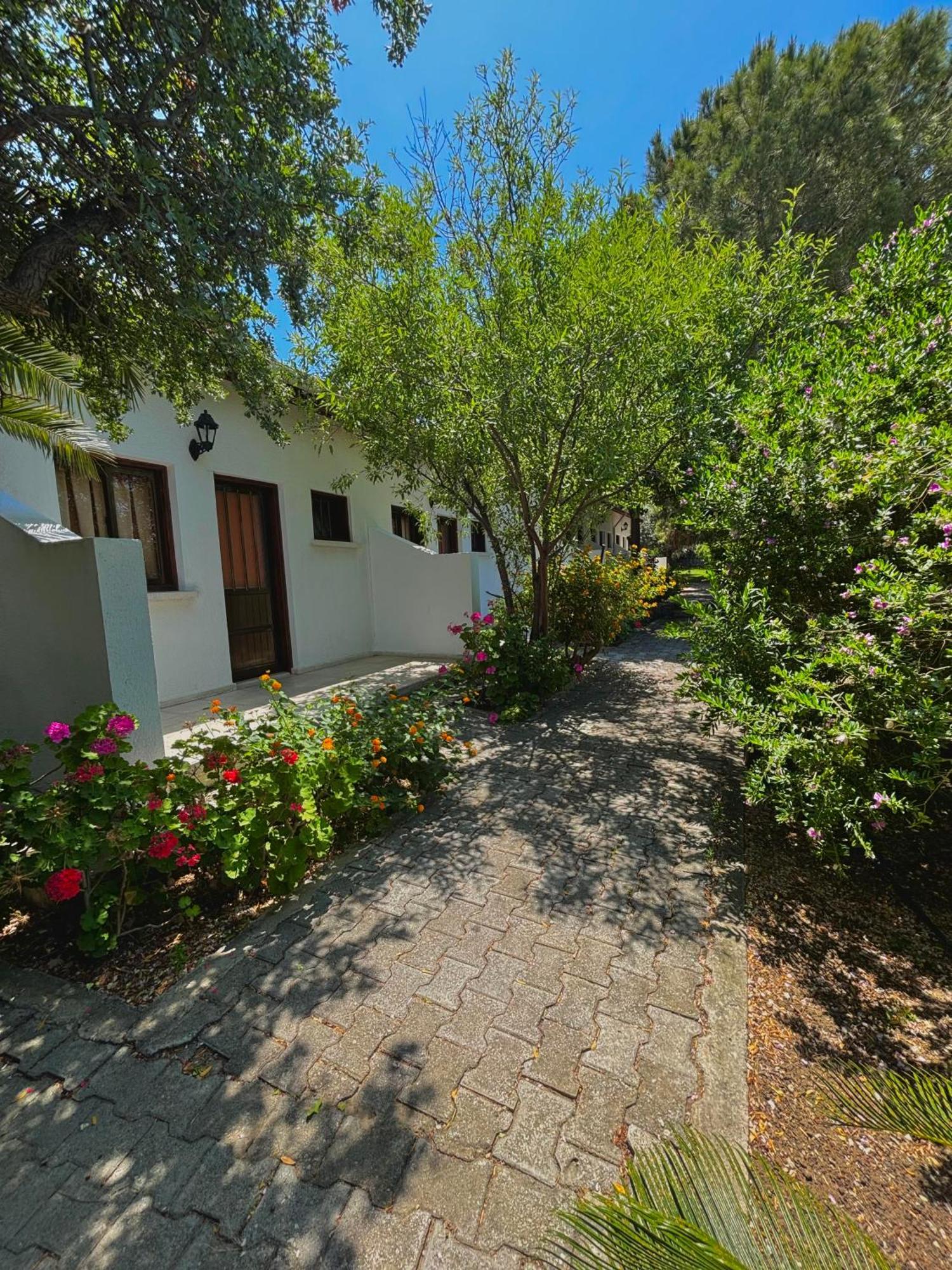 Bare Hill Holiday Apartments Krini ภายนอก รูปภาพ